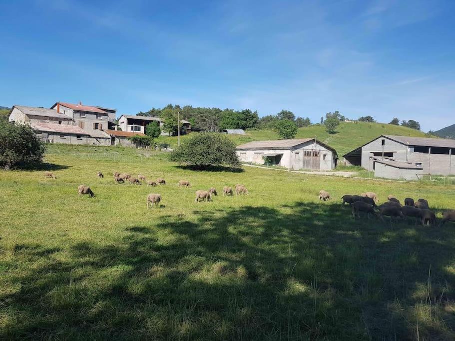 Des Millets En Baronnies Apartment Rosans